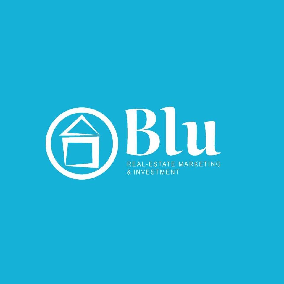 Blu Real Estate - logo